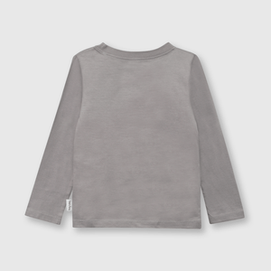 Polo de bebé niño Disney 100 gray / gris