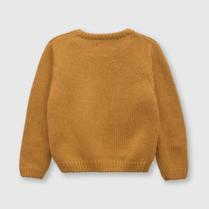 Sweater de bebé niño tigre ginger