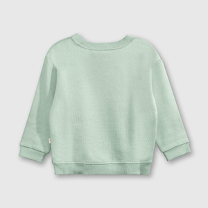 Polerón Colección Niño light green