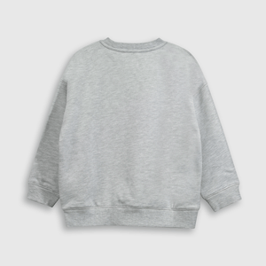 Polerón Colección Niño gris