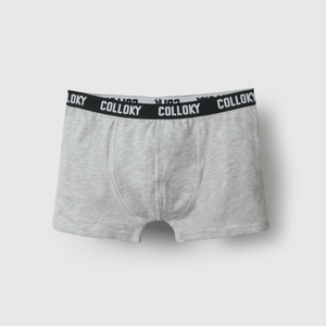Boxer Every day Niño gris